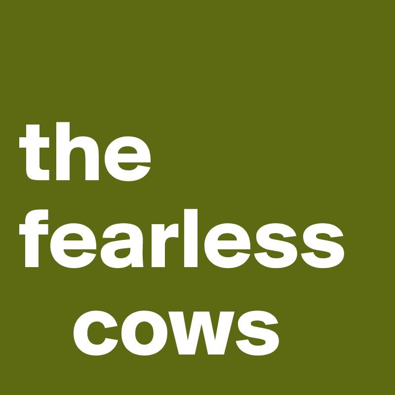 
the fearless 
   cows