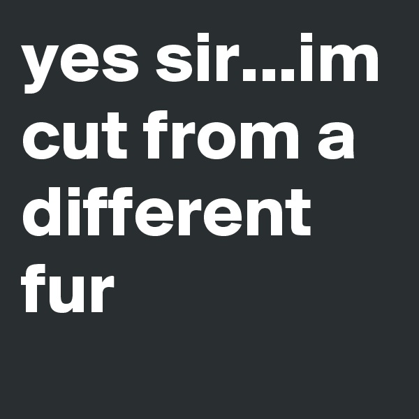 yes sir...im cut from a different fur