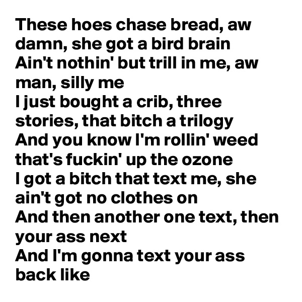 These hoes chase bread, aw damn, she got a bird brain
Ain't nothin' but trill in me, aw man, silly me
I just bought a crib, three stories, that bitch a trilogy
And you know I'm rollin' weed that's fuckin' up the ozone
I got a bitch that text me, she ain't got no clothes on
And then another one text, then your ass next
And I'm gonna text your ass back like