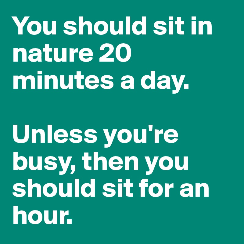 You should sit in nature 20 minutes a day. 

Unless you're busy, then you should sit for an hour.