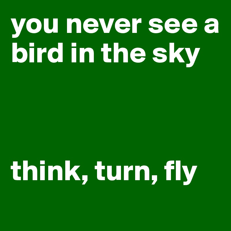 you never see a bird in the sky



think, turn, fly