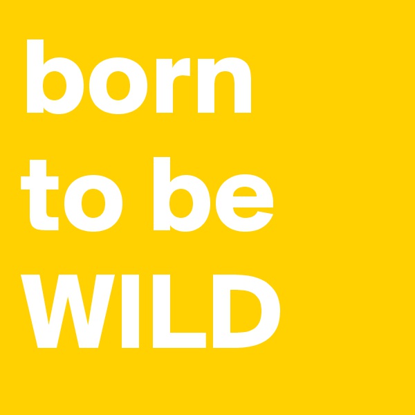 born to be WILD