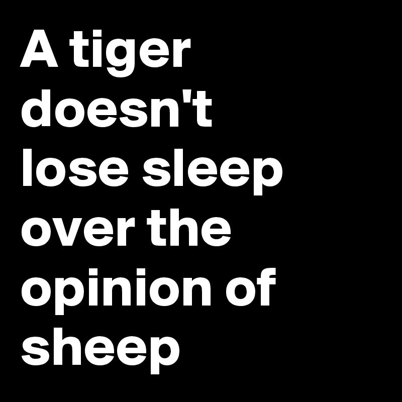A tiger doesn't 
lose sleep over the opinion of sheep