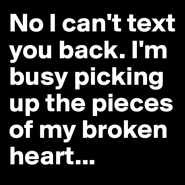 No I can't text you back. I'm busy picking up the pieces of my broken heart...