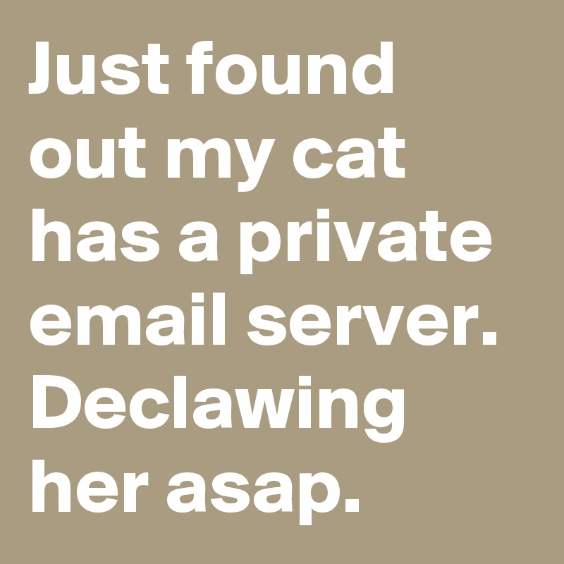 Just found out my cat has a private email server. Declawing her asap.
