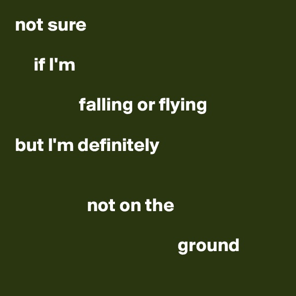 not sure

     if I'm

                 falling or flying

but I'm definitely


                   not on the

                                           ground
