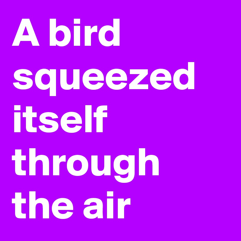A bird squeezed itself through the air