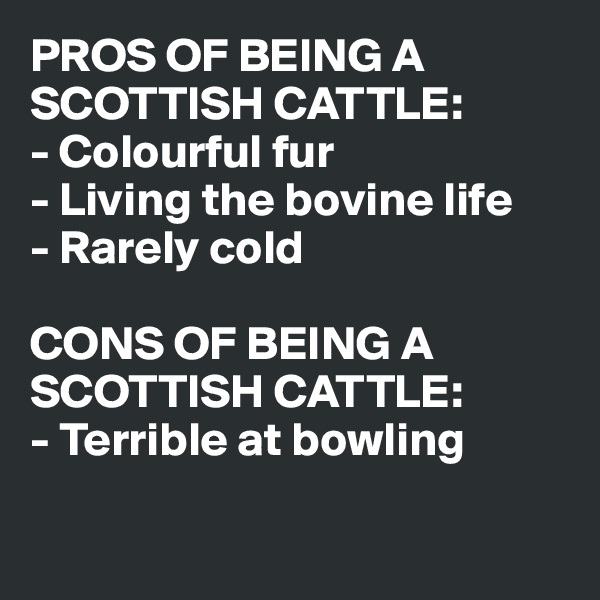 PROS OF BEING A SCOTTISH CATTLE:
- Colourful fur
- Living the bovine life
- Rarely cold

CONS OF BEING A SCOTTISH CATTLE:
- Terrible at bowling

