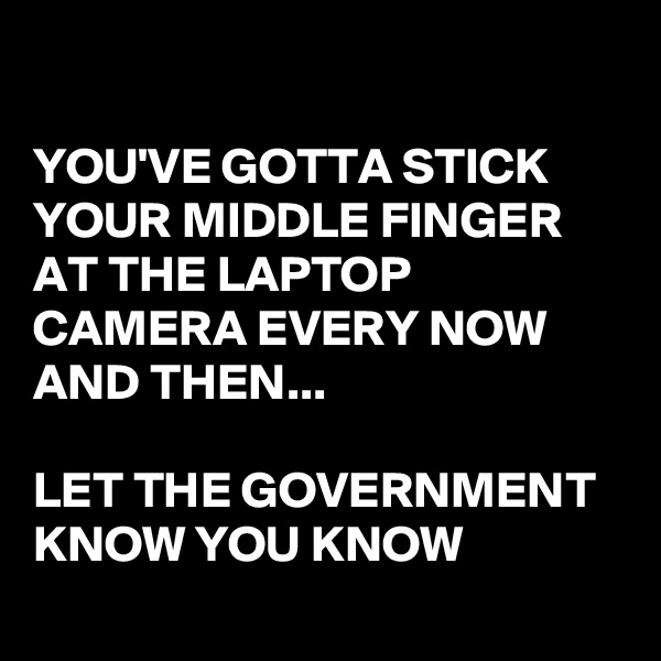 

YOU'VE GOTTA STICK YOUR MIDDLE FINGER AT THE LAPTOP CAMERA EVERY NOW AND THEN...

LET THE GOVERNMENT KNOW YOU KNOW
