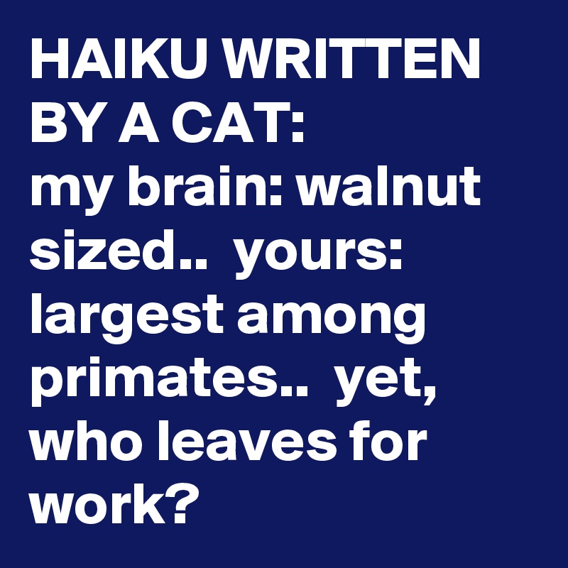 HAIKU WRITTEN BY A CAT:              my brain: walnut sized..  yours: largest among primates..  yet, who leaves for work?