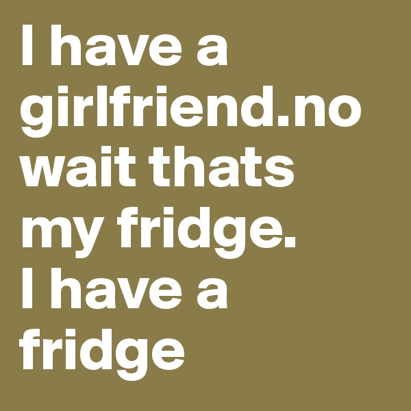 I have a girlfriend.no wait thats my fridge.
I have a fridge
