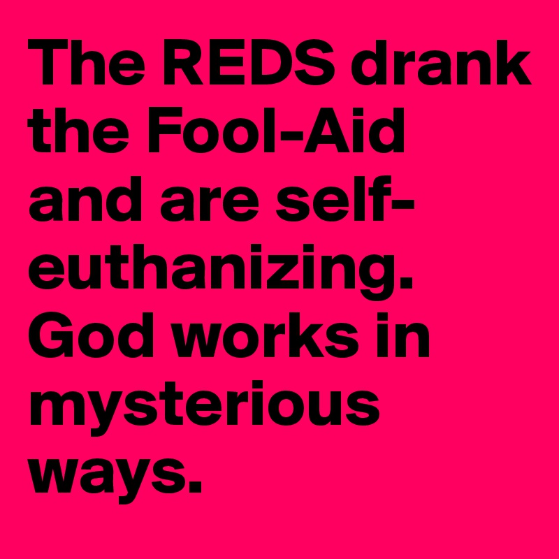 The REDS drank the Fool-Aid and are self-euthanizing. God works in mysterious ways. 