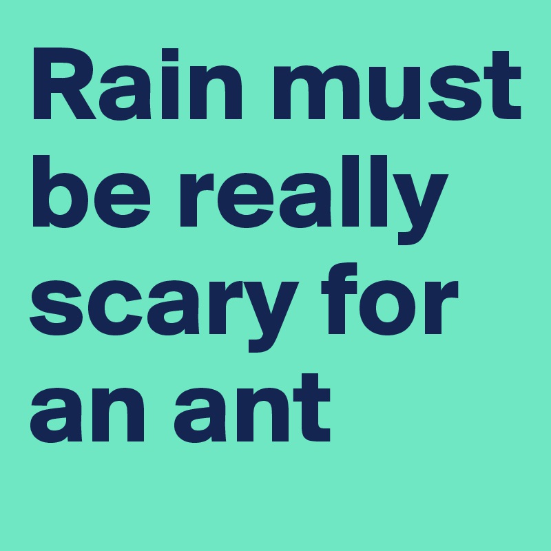 Rain must be really scary for an ant