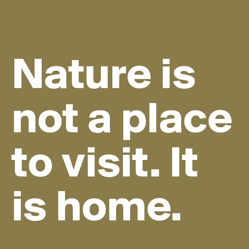 
Nature is not a place to visit. It is home. 