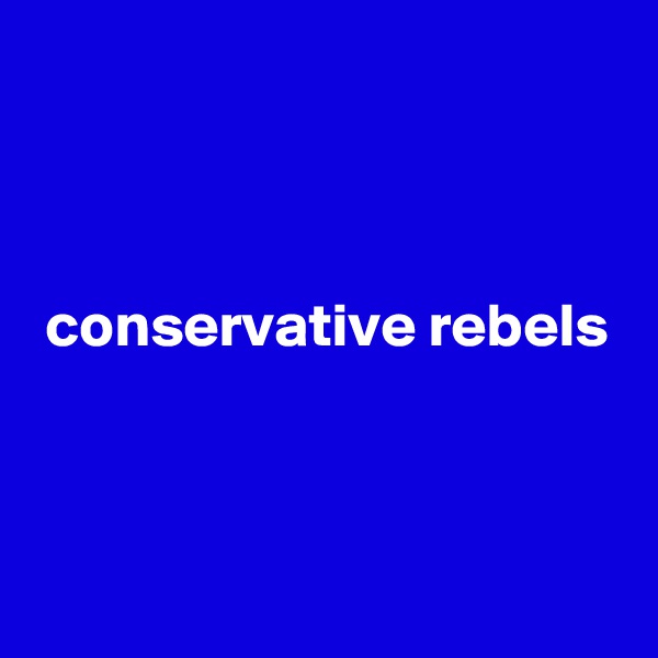 



 conservative rebels



