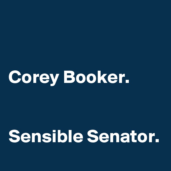 


Corey Booker.


Sensible Senator. 
