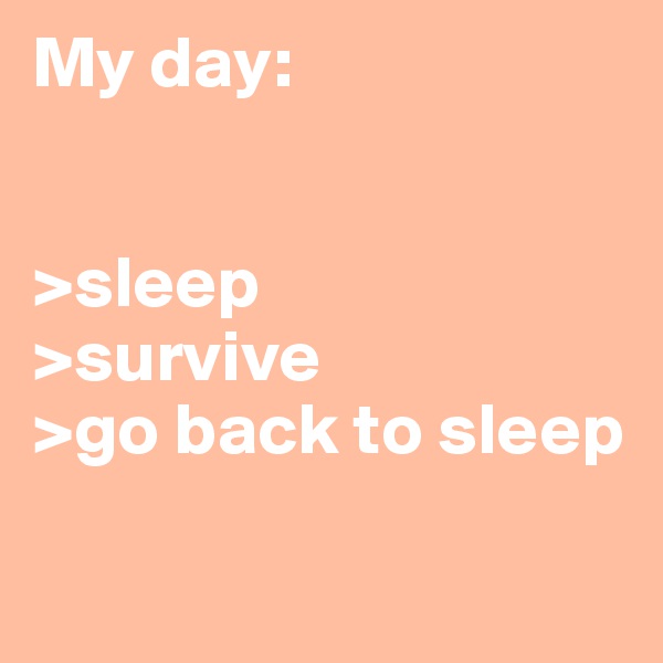 My day:


>sleep
>survive
>go back to sleep

