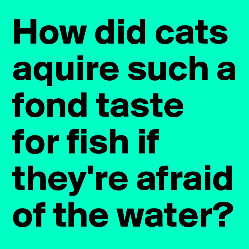 How did cats aquire such a fond taste for fish if they're afraid of the water?
