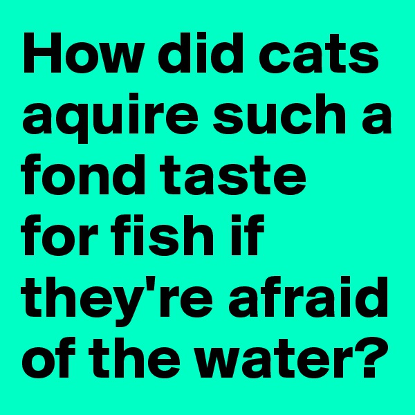 How did cats aquire such a fond taste for fish if they're afraid of the water?