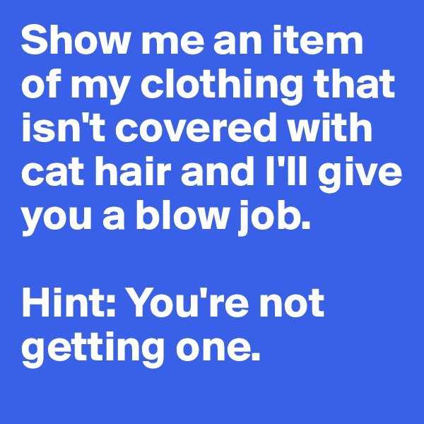 Show me an item of my clothing that isn't covered with cat hair and I'll give you a blow job. 

Hint: You're not getting one.