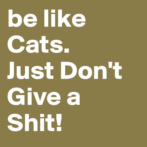 be like Cats. 
Just Don't Give a Shit!