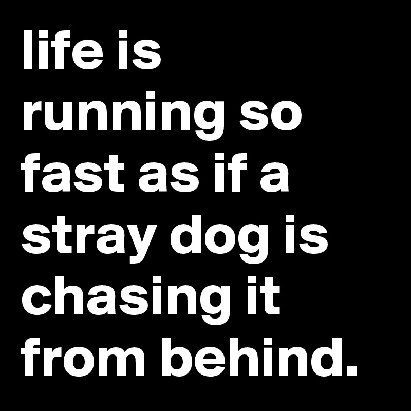 life is running so fast as if a stray dog is chasing it from behind.