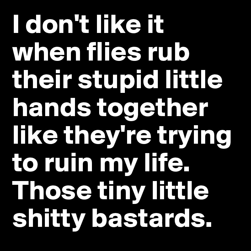 I don't like it when flies rub their stupid little hands together like they're trying to ruin my life. Those tiny little shitty bastards.