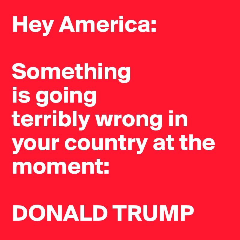 Hey America:

Something
is going
terribly wrong in your country at the moment:

DONALD TRUMP