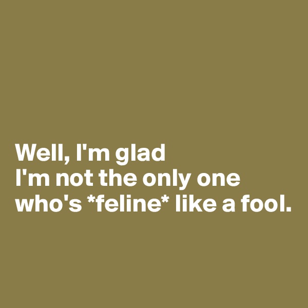 




Well, I'm glad 
I'm not the only one who's *feline* like a fool. 

