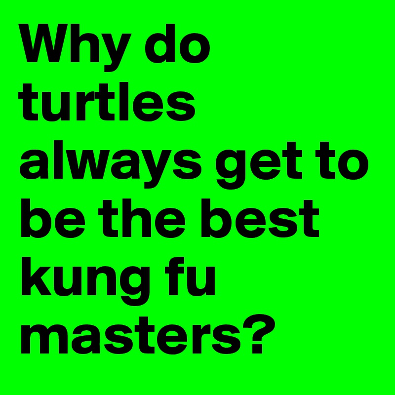 Why do turtles always get to be the best kung fu masters?