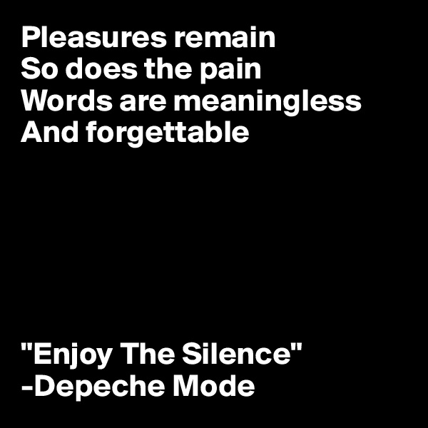 Pleasures remain
So does the pain
Words are meaningless
And forgettable






"Enjoy The Silence" -Depeche Mode