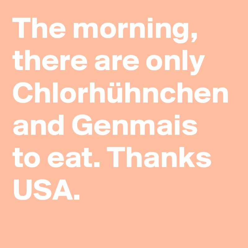 The morning, there are only Chlorhühnchen and Genmais to eat. Thanks USA. 