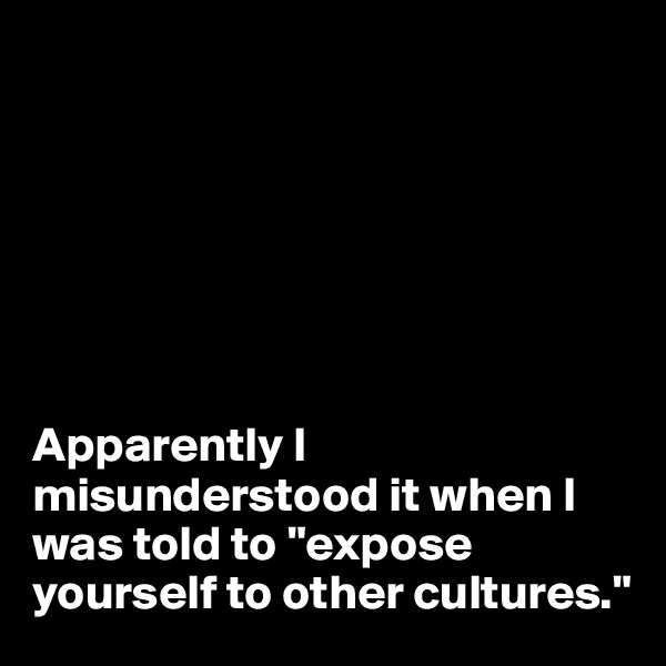 







Apparently I misunderstood it when I was told to "expose yourself to other cultures."