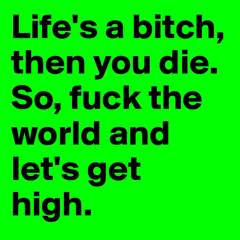 Life's a bitch, then you die. So, fuck the world and let's get high. 