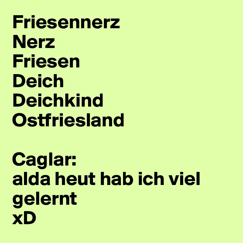 Friesennerz
Nerz
Friesen
Deich
Deichkind
Ostfriesland

Caglar: 
alda heut hab ich viel gelernt 
xD