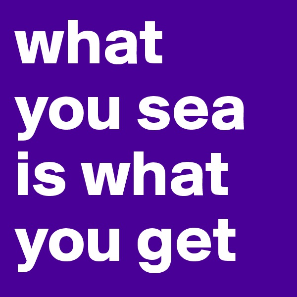 what you sea is what you get