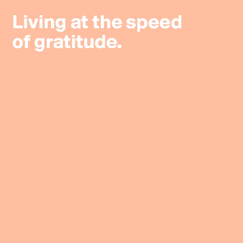 Living at the speed
of gratitude.

   






