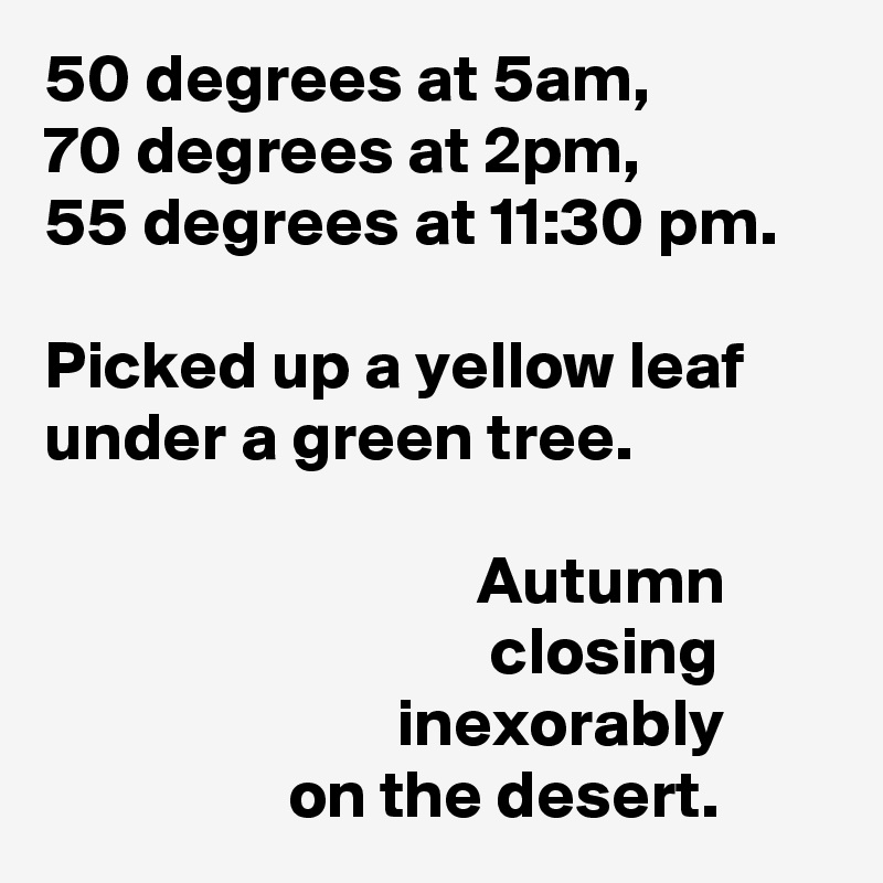 50 degrees at 5am,
70 degrees at 2pm,
55 degrees at 11:30 pm.

Picked up a yellow leaf under a green tree.

                                Autumn
                                 closing                                  inexorably
                  on the desert. 