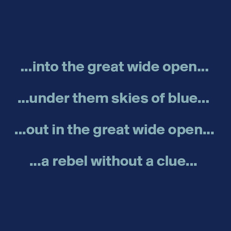 


   ...into the great wide open...

  ...under them skies of blue...

 ...out in the great wide open...

      ...a rebel without a clue...

