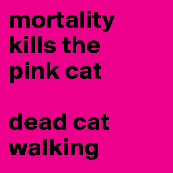 mortality kills the 
pink cat

dead cat walking