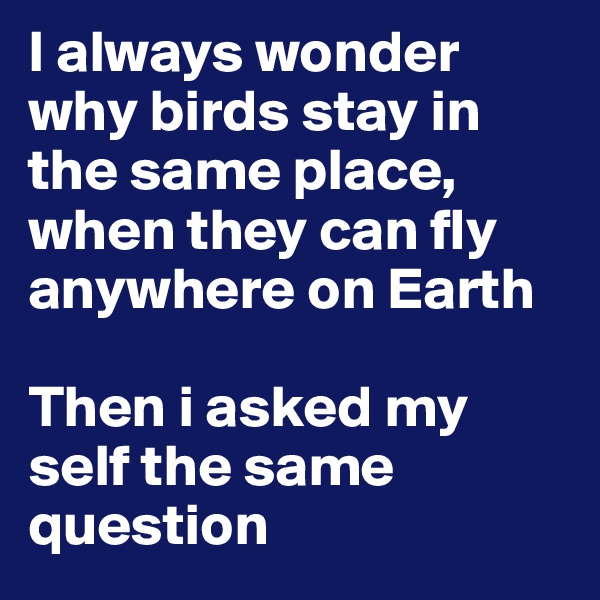 I always wonder why birds stay in the same place, when they can fly anywhere on Earth

Then i asked my self the same question