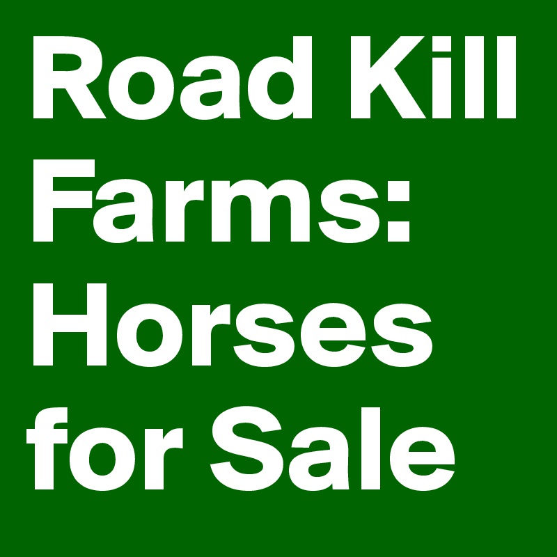 Road Kill Farms:
Horses for Sale