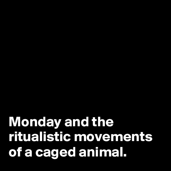 






Monday and the ritualistic movements of a caged animal.