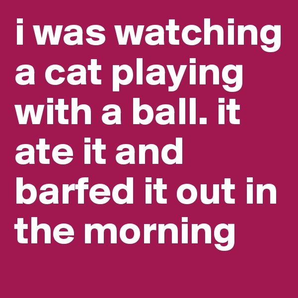 i was watching a cat playing with a ball. it ate it and barfed it out in the morning