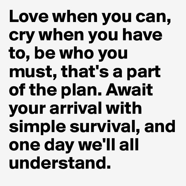 Love when you can, cry when you have to, be who you must, that's a part of the plan. Await your arrival with simple survival, and one day we'll all understand. 