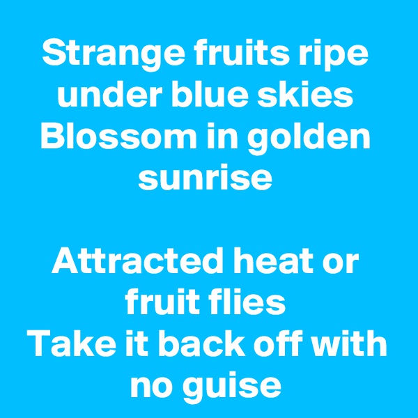 Strange fruits ripe under blue skies
Blossom in golden sunrise

Attracted heat or fruit flies
Take it back off with no guise
