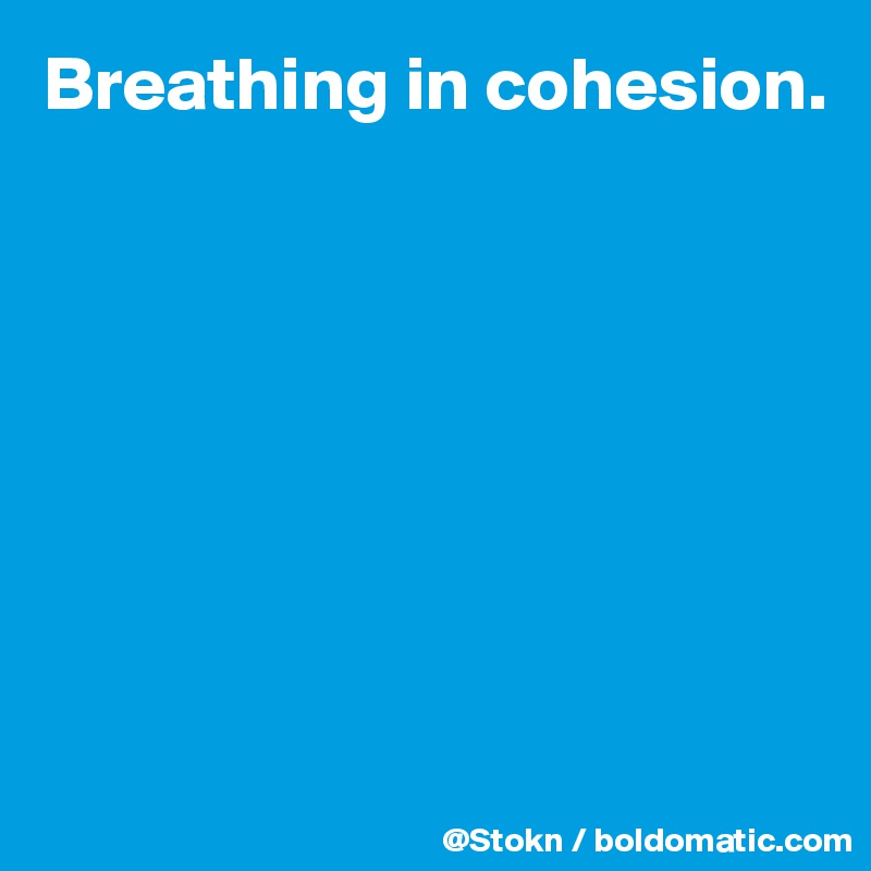 Breathing in cohesion.








