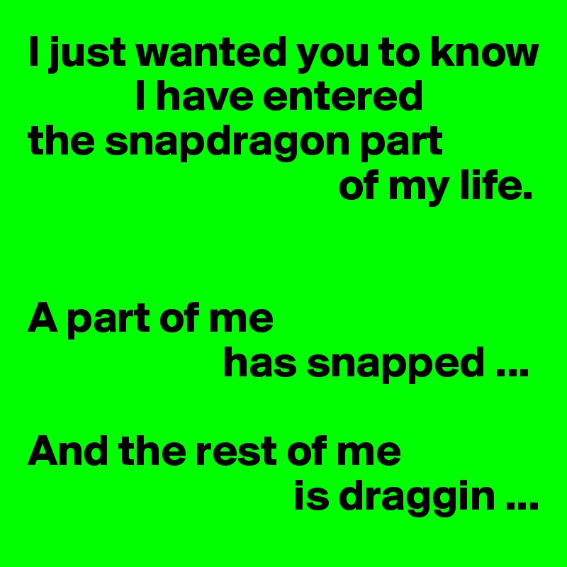 I just wanted you to know
            I have entered 
the snapdragon part
                                   of my life.


A part of me
                      has snapped ...

And the rest of me
                              is draggin ...