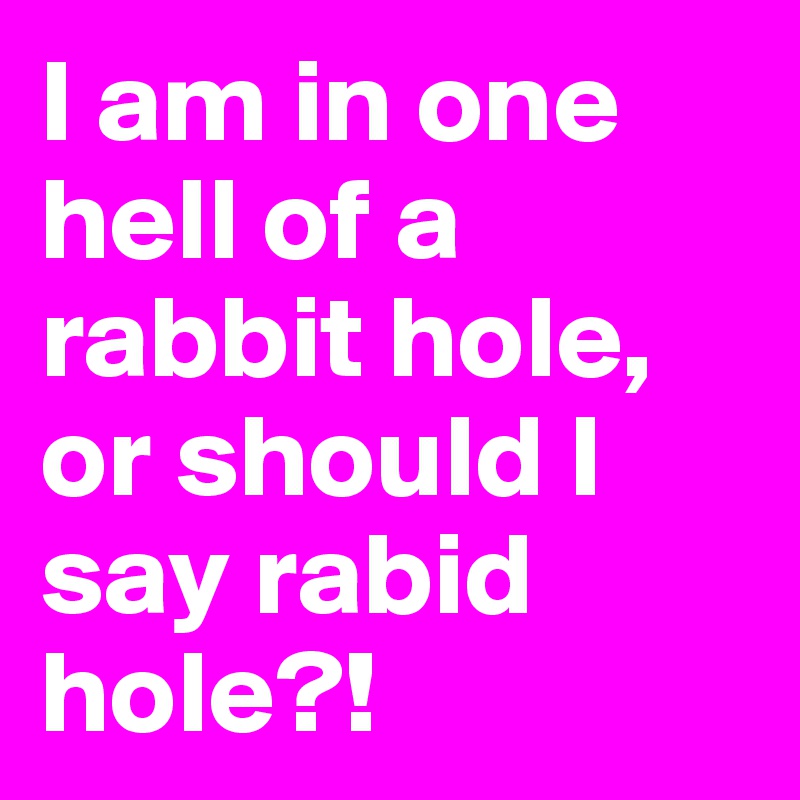 I am in one hell of a rabbit hole, or should I say rabid hole?!
