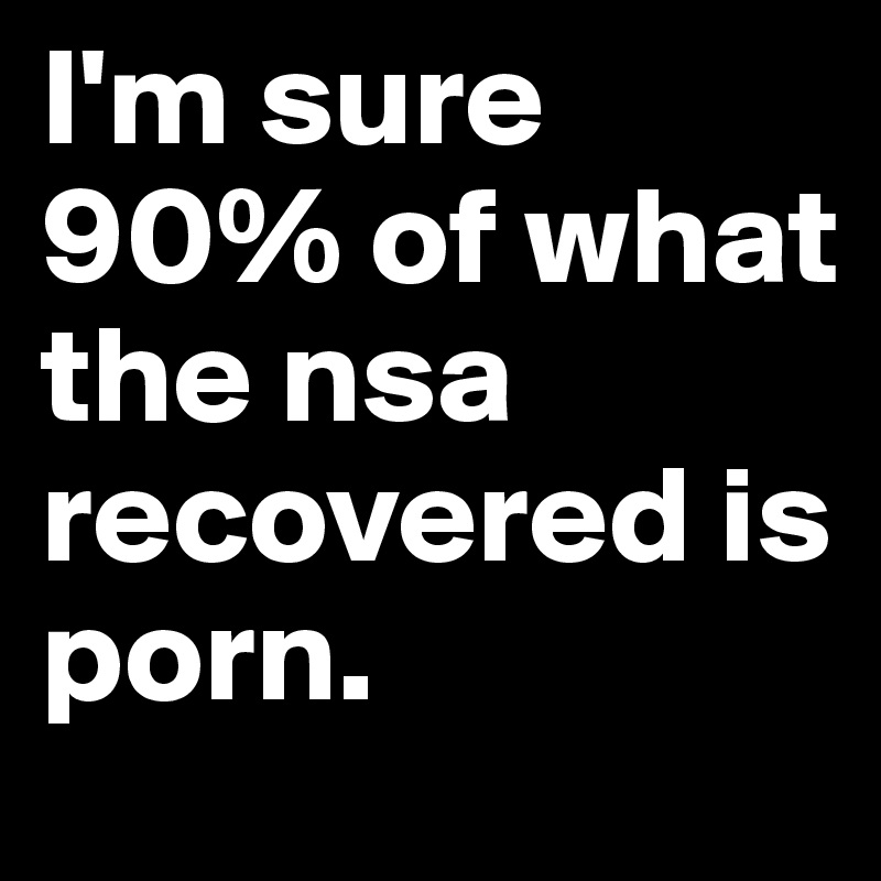 I'm sure 90% of what the nsa recovered is porn. 